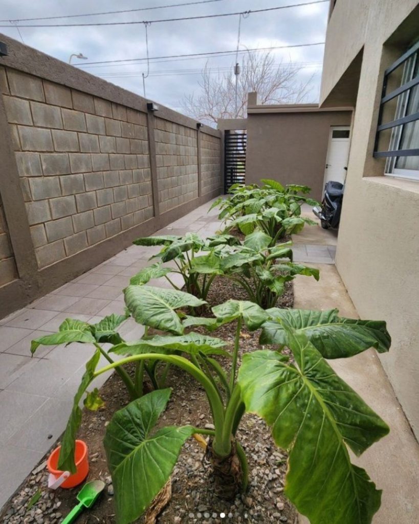 ¡Oportunidad! ¡Se venden 2 dptos en la zona de la Utn!